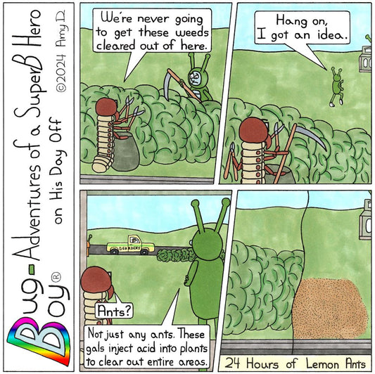 Bug Boy®-Adventures of a SuperB Hero on His Day Off Lemon Ants / ©2024 Amy D / 1st Panel- Bug Boy & Seymour standing on either side of a huge shrub. Seymour is holding a large trash bag to collect the clippings from his two hedge trimmers. Bug Boy is at