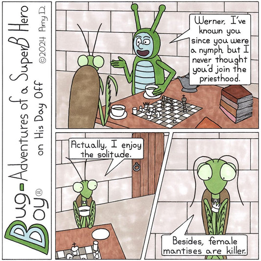 Bug Boy®-Adventures of a SuperB Hero on His Day Off - Werner ©2024 Amy D / 1st Panel- Bug Boy sitting at a table with a Praying mantis in what looks like a stone room. There is a half played game of chess sitting on the table along with some books and a