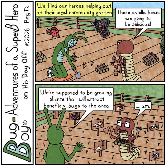 Bug Boy®-Adventures of a SuperB Hero on His Day Off / Gardening ©2026 Amy D / First Panel- Bug Boy & Seymour are in the middle of a large garden plot along...