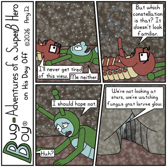 Bug Boy®-Adventures of a SuperB Hero on His Day Off / Night Sky ©2026 Amy D / First Panel- Bug Boy & Seymour are laying on the ground looking up at a twinkle...
